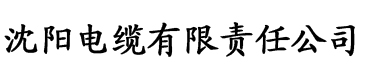 小仙女直播软件电缆厂logo